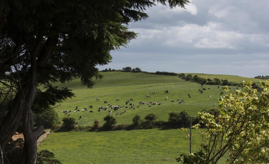 Ard Na Greine Bed & Breakfast Clonakilty Luaran gambar